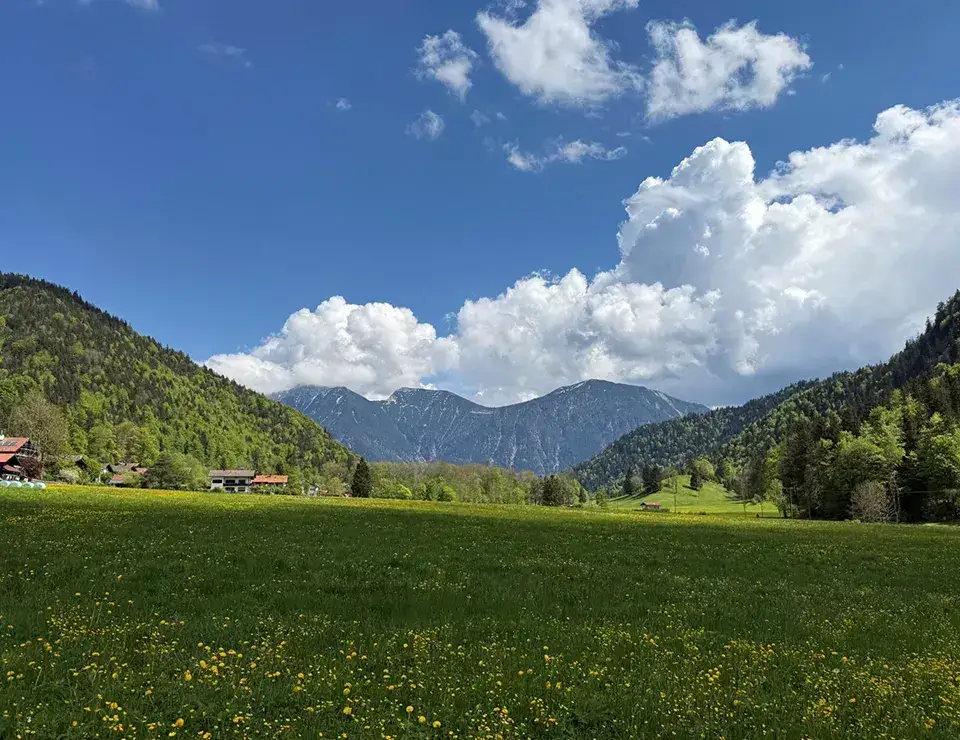 Beitrag Palliativ ohne Grenzen